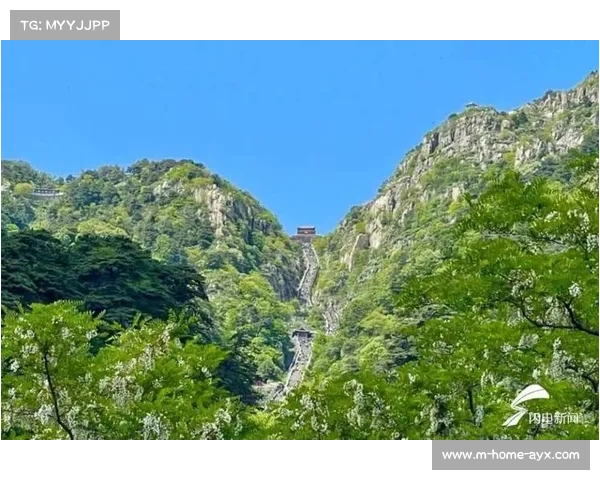 泰山夏日:惊喜连连 泰山夏日:惊喜连连